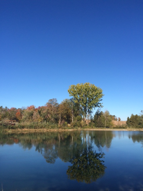 Landings Campground | 1073 Witmer Rd, Petersburg, ON N0B 2H0, Canada | Phone: (519) 696-3156