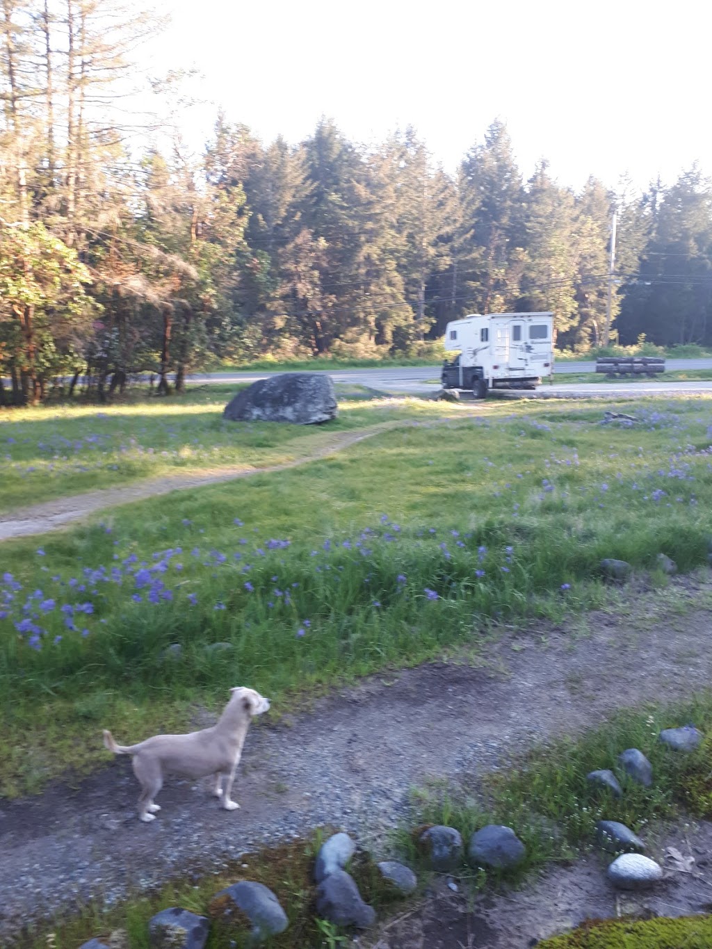 Yellow Point Park | Yellow Point Rd, Ladysmith, BC V9G 1G3, Canada | Phone: (250) 746-2620