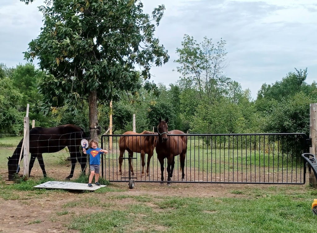 STARDUST ACRES A FLAHERTY FARM | 205 Pickerel Point Rd RR6, Lindsay, ON K9V 4R6, Canada | Phone: (705) 344-5580