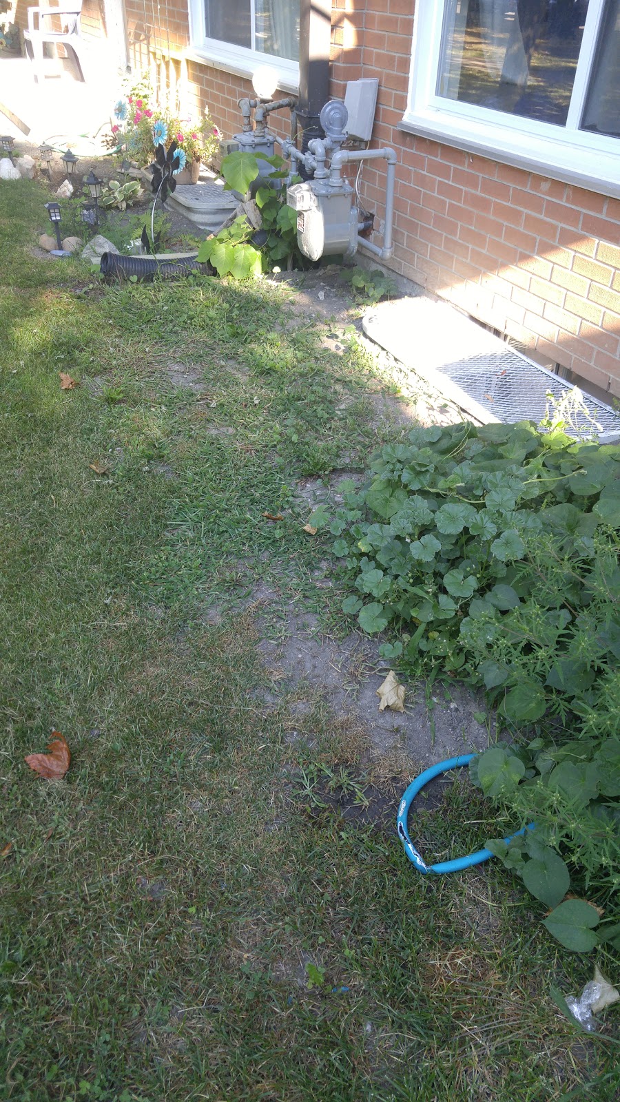 Spring Du Fall Lawn Care | 2411 Boswell St, Brigden, ON N0N 1B0, Canada | Phone: (519) 864-4396