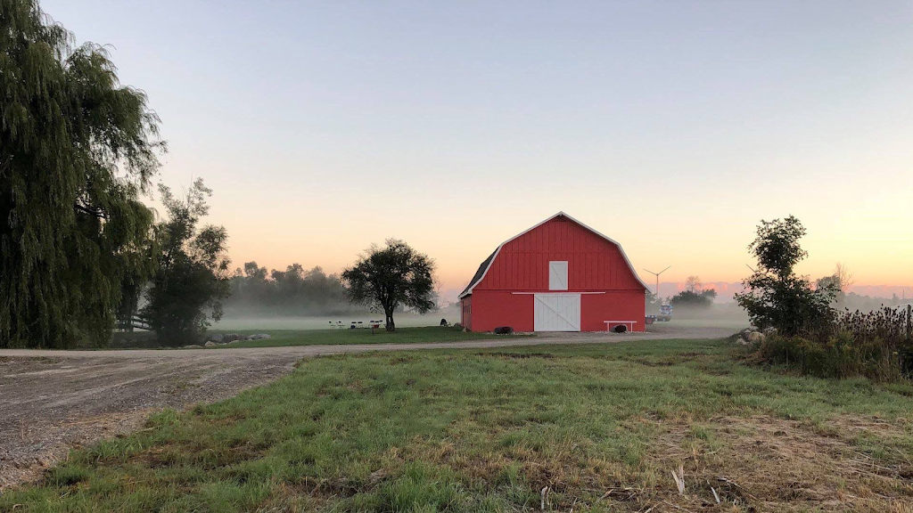 Fourevergreen Farm | 1235 Boyle Rd, Fenwick, ON L0S 1C0, Canada | Phone: (905) 932-2628