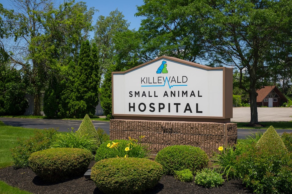 Killewald Small Animal Hospital | 3020 Niagara Falls Blvd, Amherst, NY 14228, USA | Phone: (716) 694-9191