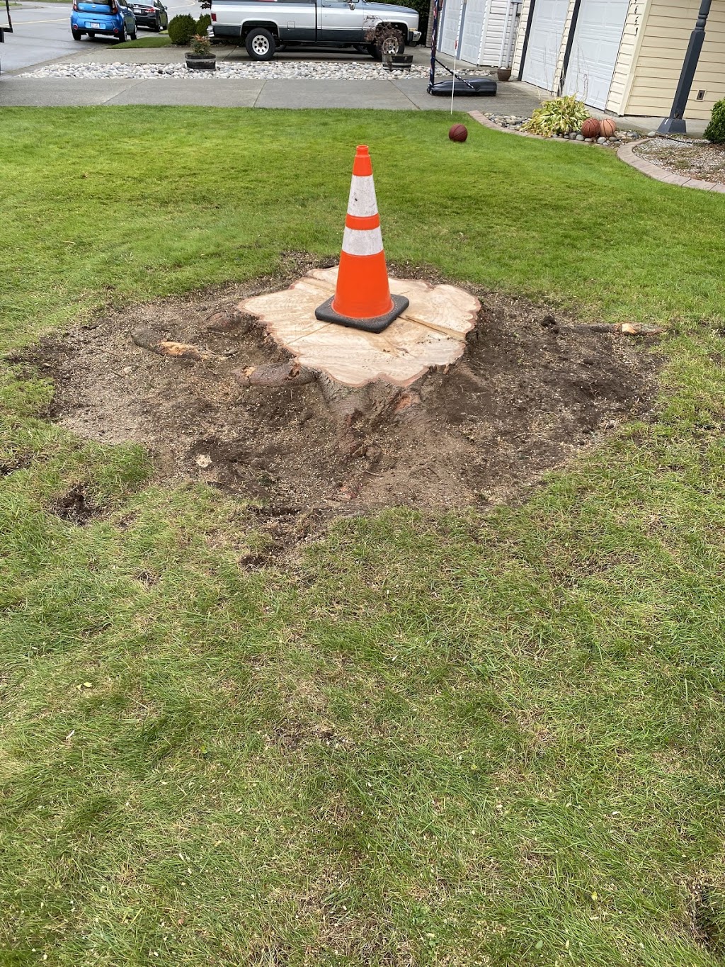Ridge Meadows Tree Service | 12351 203 St, Maple Ridge, BC V2X 4V9, Canada | Phone: (604) 353-4979