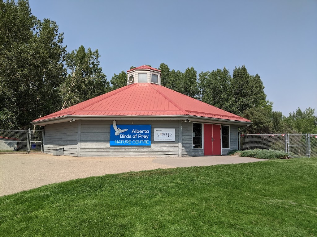 Alberta Birds of Prey Foundation | 2124 16 Ave, Coaldale, AB T1M 1J8, Canada | Phone: (403) 345-4262