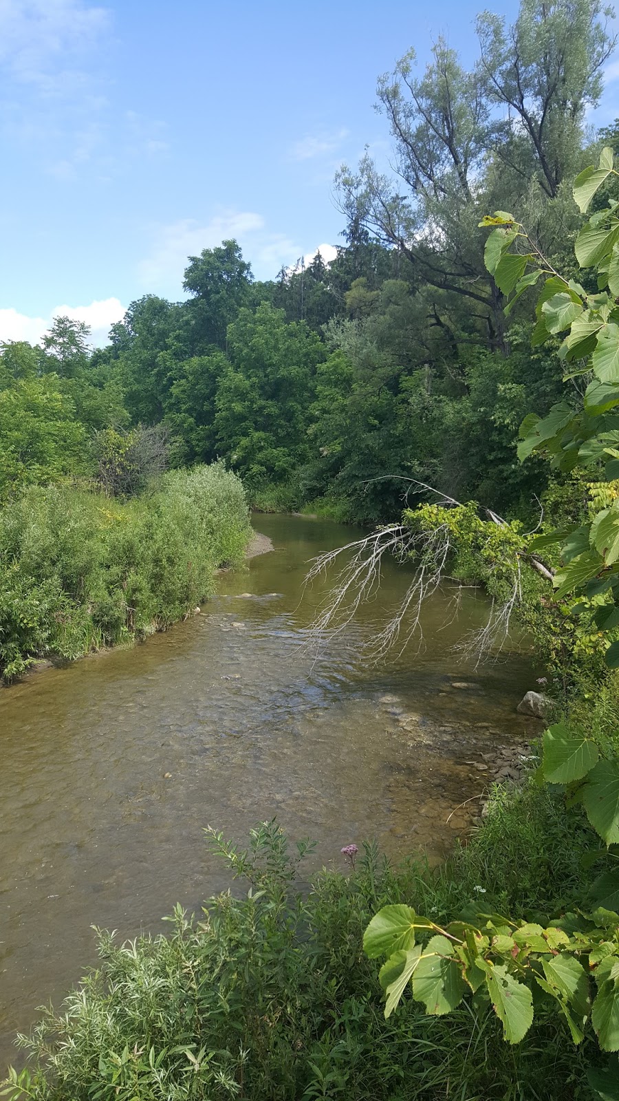 Boyd Conservation Park | 8739 Islington Ave, Woodbridge, ON L4L 1A6, Canada | Phone: (416) 661-6600
