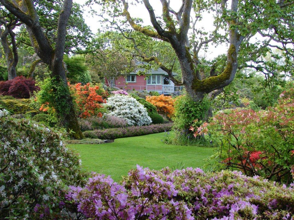 The Teahouse at Abkhazi Garden | 1964 Fairfield Rd, Victoria, BC V8S 1H2, Canada | Phone: (778) 265-6466