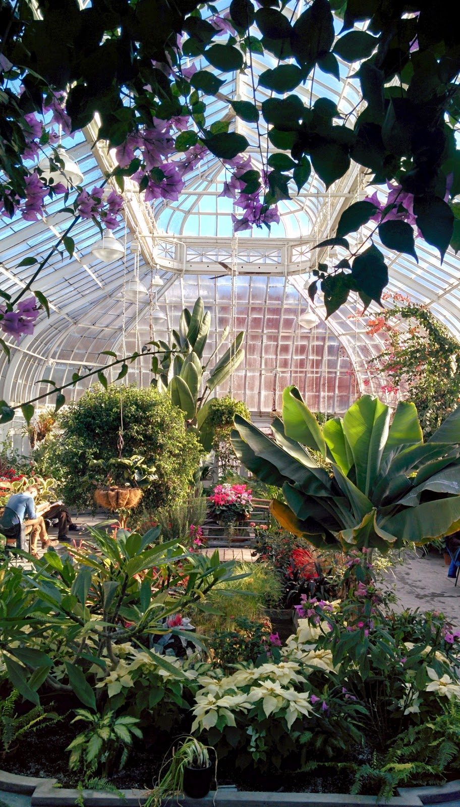 Westmount Conservatory and Greenhouses | 4626 Rue Sherbrooke O, Westmount, QC H3Z 2Z8, Canada | Phone: (514) 989-5230