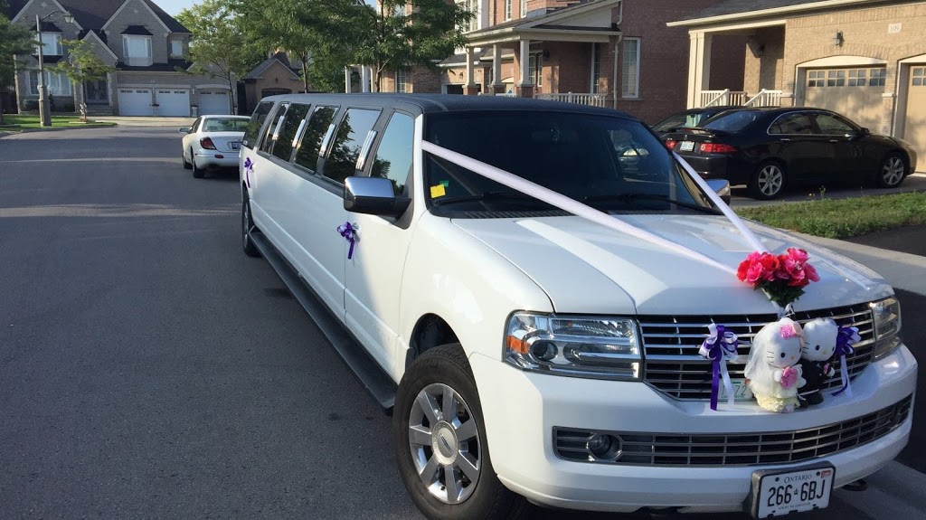 Airport Taxi Toronto | 8 Mercer St, Toronto, ON M5V 0C4, Canada | Phone: (647) 559-3366