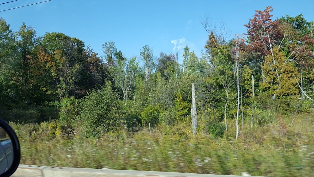 Miner Lake State Park | Altona, NY 12910, USA