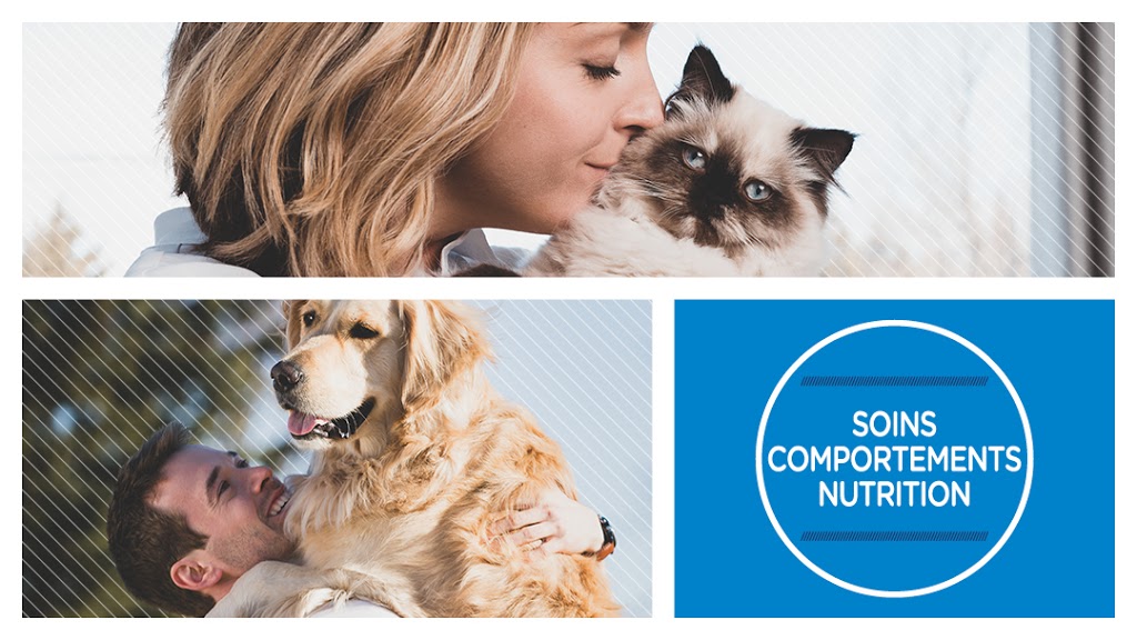 Globalvet - Veterinary Clinic Loretteville | 10935 Boulevard de lOrmière, Québec, QC G2B 3L5, Canada | Phone: (418) 842-5048