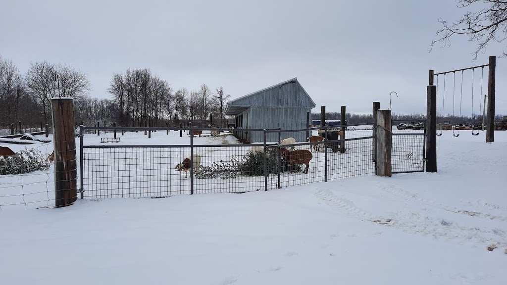Top Market Meats | 5887 Splint Rd, Ariss, ON N0B 1B0, Canada | Phone: (519) 716-9464