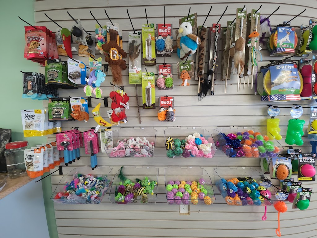 Four Paws Pet Supply | 5379 Old Highway 2, Shannonville, ON K0K 3A0, Canada | Phone: (613) 970-9032