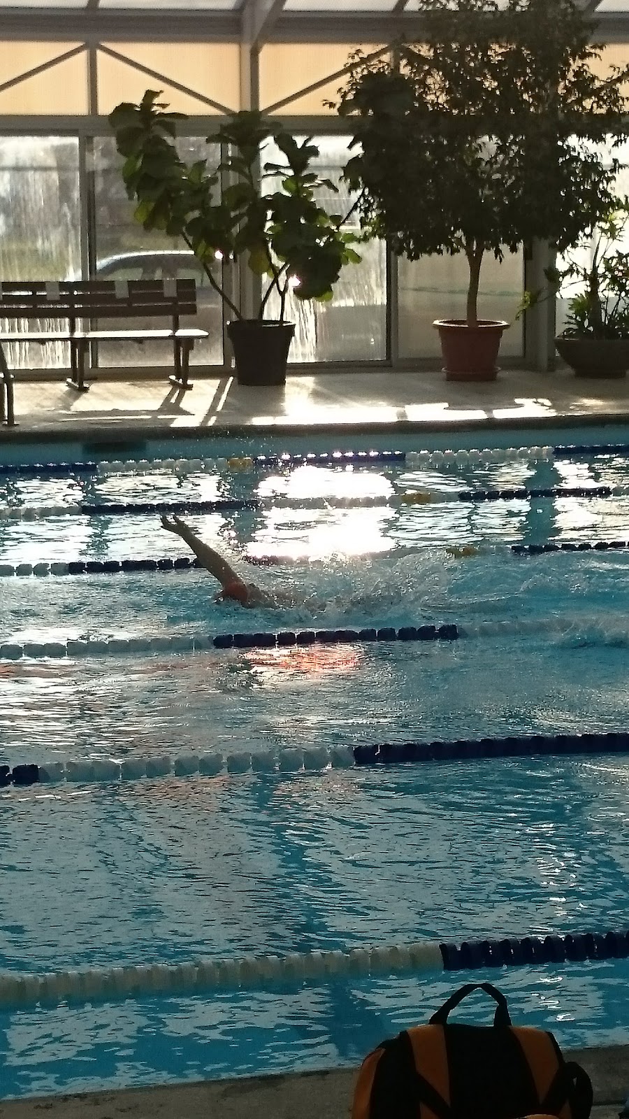 Gable Rees Rotary Pool | 66 Regent St, Blenheim, ON N0P 1A0, Canada | Phone: (519) 676-4544
