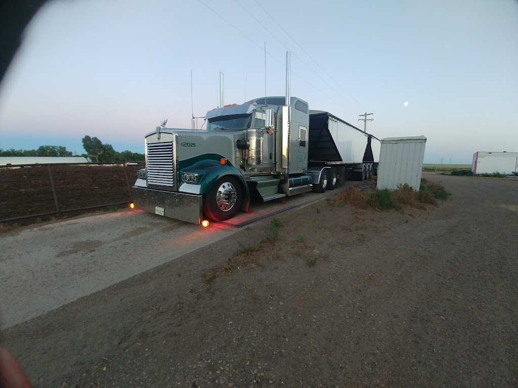 Bogi Feeders | Unnamed Road, Cessford, AB T0J 0P0, Canada | Phone: (403) 566-2420