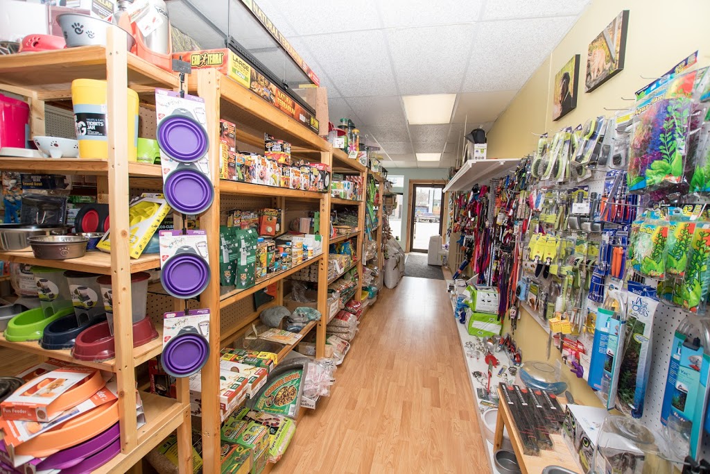 Beachs Pet Place | 120 Broadway St, Fort QuAppelle, SK S0G 1S0, Canada | Phone: (306) 332-6603