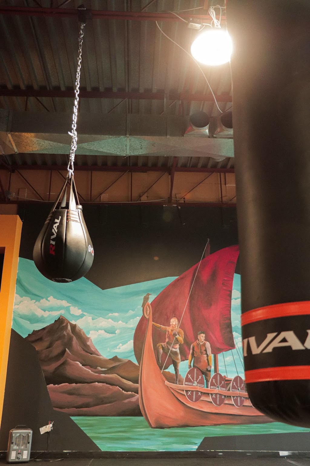 Club de Boxe Viking | 8920 Boul Langelier, Montréal, QC H1P 3C8, Canada | Phone: (514) 323-5911