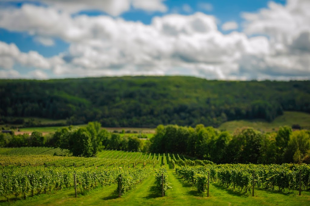 Benjamin Bridge | 1966 White Rock Rd, Wolfville, NS B4P 2R1, Canada | Phone: (902) 542-1560