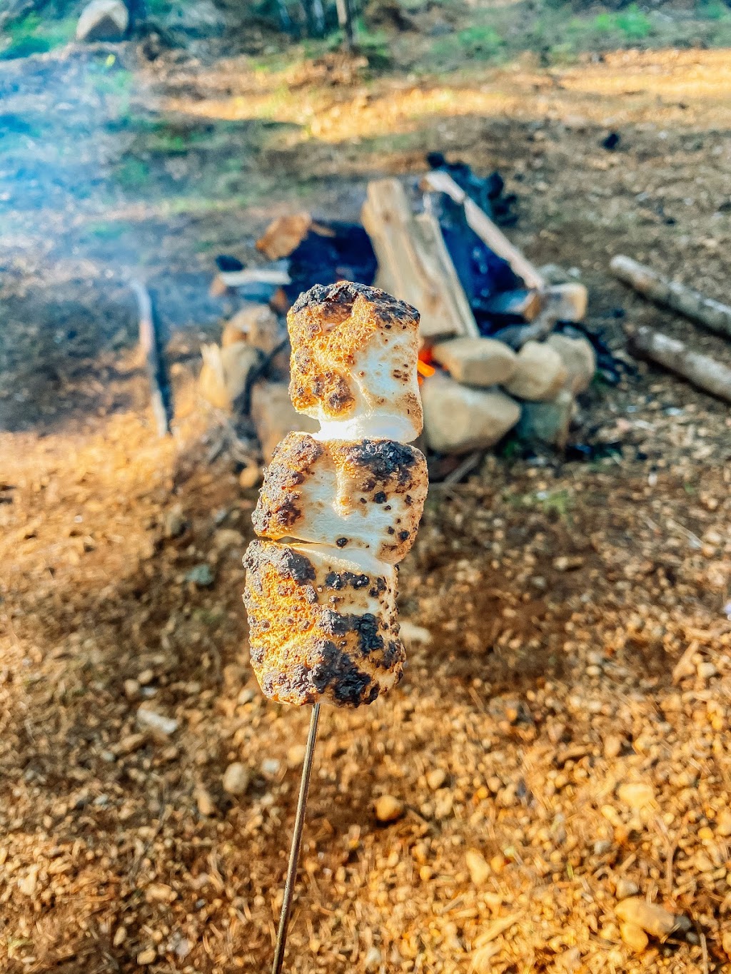 Forbidden Plateau Mountain Resort and Campground | 8010 Forbidden Plateau Rd, Courtenay, BC V9J 1L2, Canada | Phone: (250) 897-2522