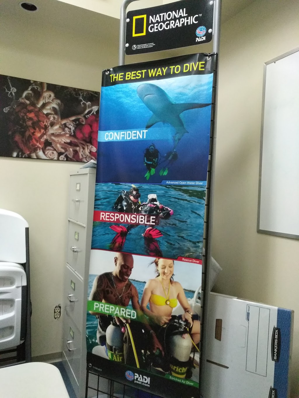 Ocean Pro Divers | 3189 King George Blvd #2, Surrey, BC V4P 1B8, Canada | Phone: (604) 538-5608