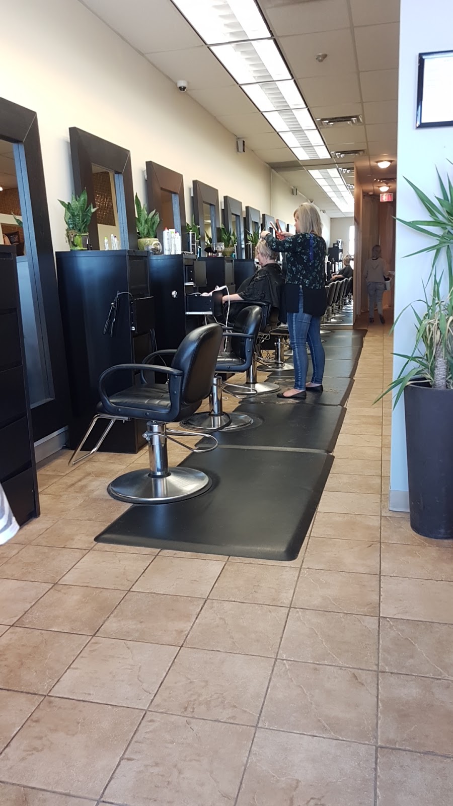 Alen Yousif | B, 411 Herold Ct, Saskatoon, SK S7V 0A7, Canada | Phone: (306) 715-4470