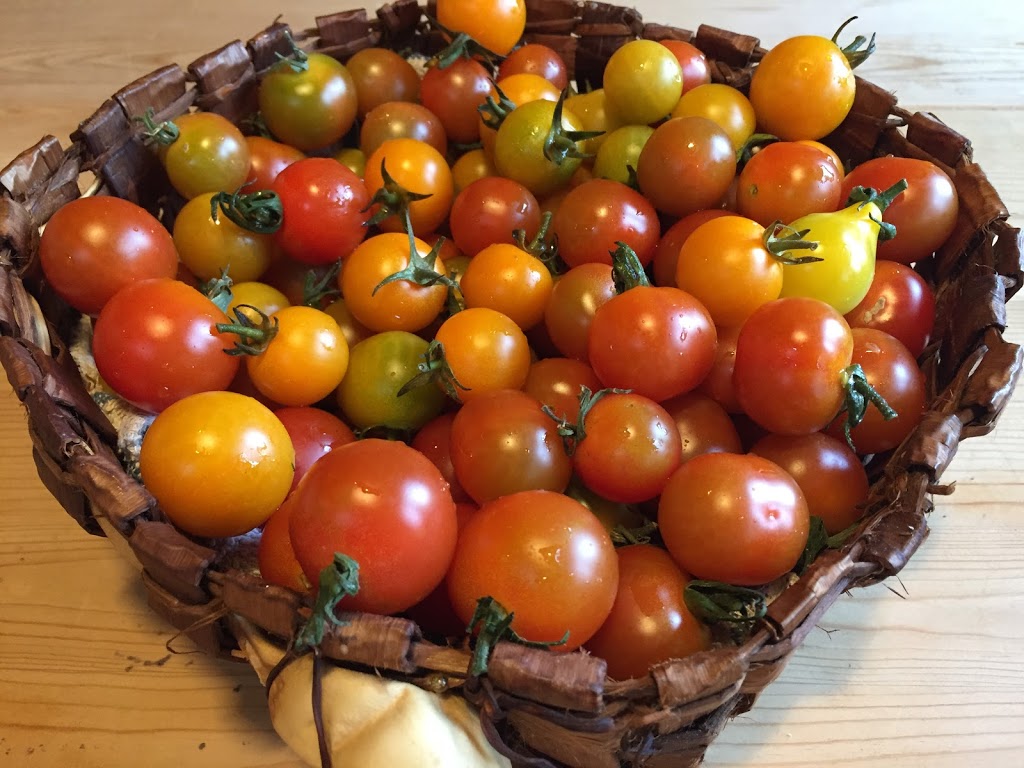 Coastal Urban Gardens | 8305 Rainbow Dr, Whistler, BC V8E 0G1, Canada | Phone: (604) 966-7384