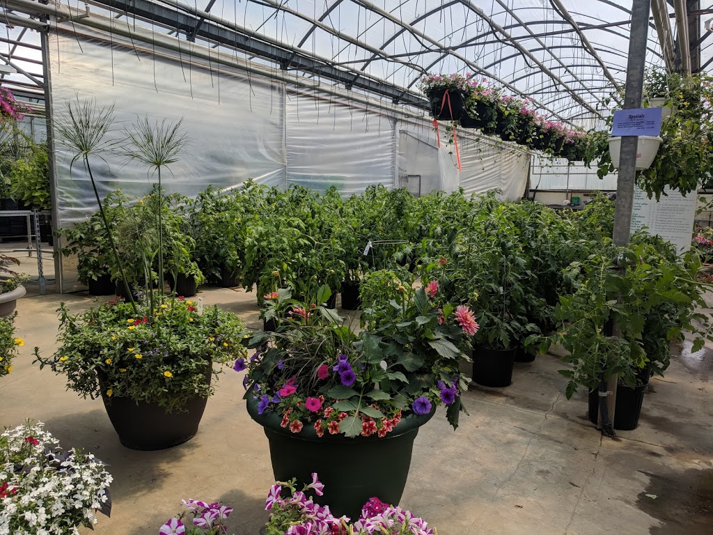 Arber Greenhouses Ltd | Wetaskiwin County No. 10, AB T9A 2Y9, Canada | Phone: (780) 352-7520
