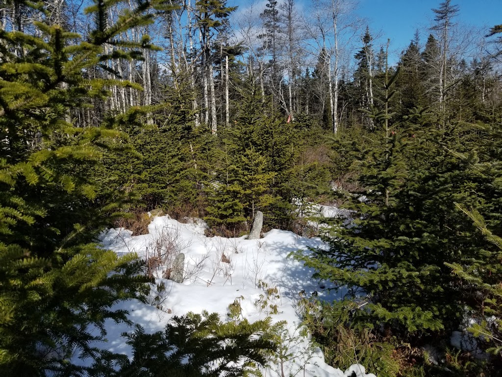 Greenhead Road Cemetery | Otter Lake, NS B3T 1P6, Canada