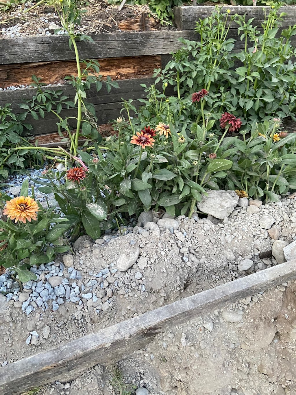 Reliable Landscaping ltd | 14225 57 Ave unit 306, Surrey, BC V3X 2W6, Canada | Phone: (778) 385-2401