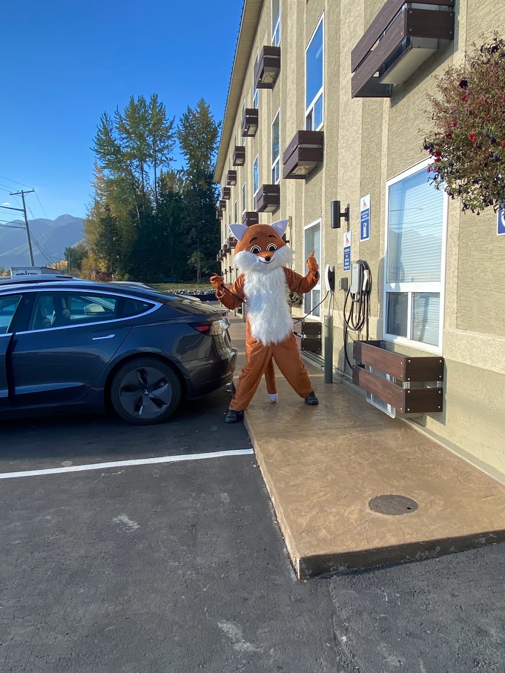 Fernie Fox Hotel | 2021 Hwy #3, Fernie, BC V0B 1M1, Canada | Phone: (877) 447-6788