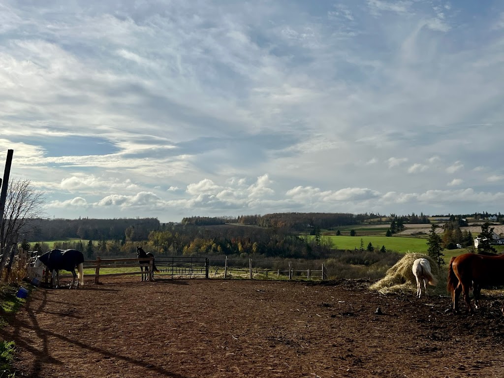 Storybook Stables | 18457 PE-2, North Wiltshire, PE C0A 1Y0, Canada | Phone: (902) 621-2029