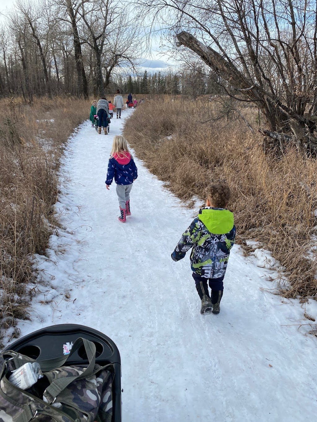 Organized Chaos Kinder Care Day Home | 49 Evansbrooke Rise NW, Calgary, AB T3P 1C6, Canada | Phone: (403) 852-9547