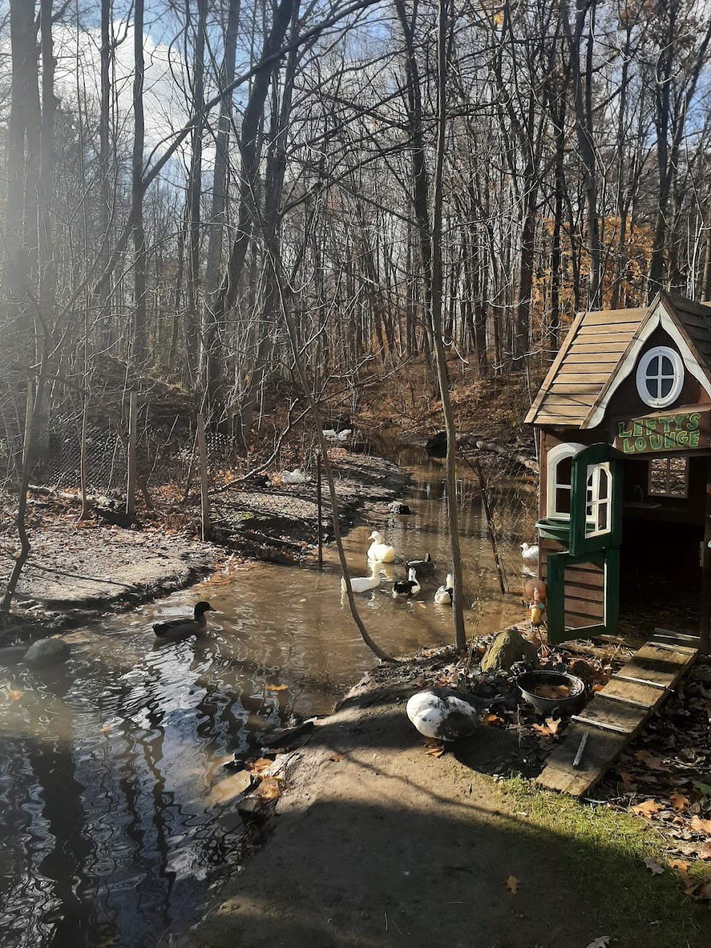 Meadowlily Farm & Bee Rescue | 25 Meadowlily Rd S, London, ON N6M 1C3, Canada | Phone: (519) 520-0424