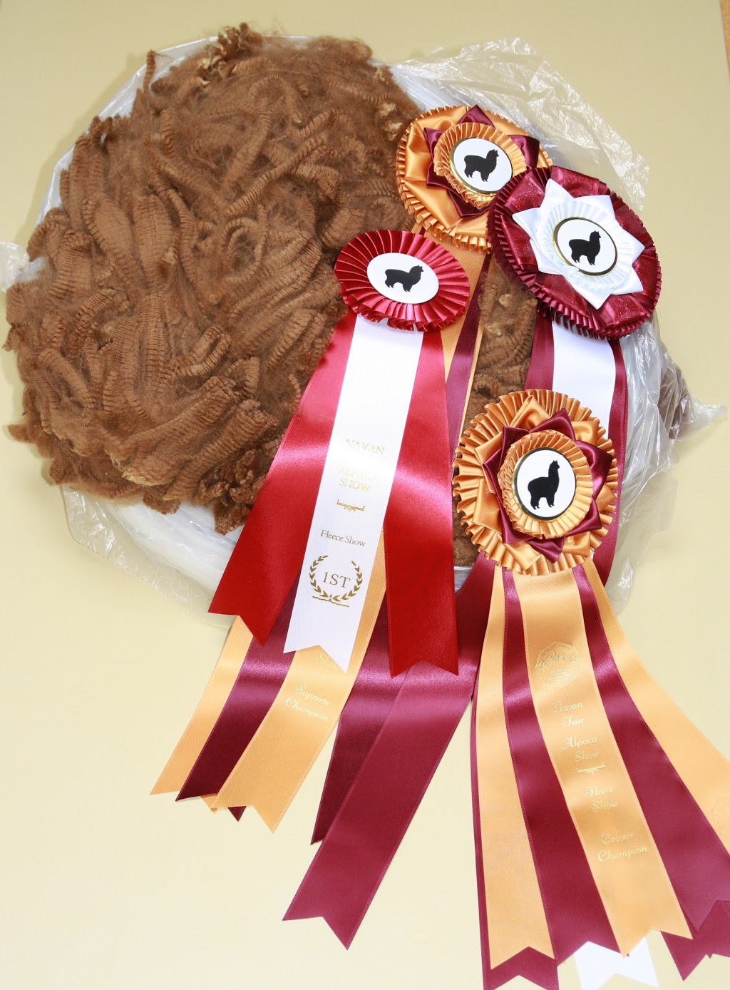 Arriba Linea Alpacas | 696 Kawartha Lakes County Rd 36, Lindsay, ON K9V 4R3, Canada | Phone: (647) 223-8950