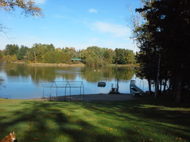 New Lowell Campground | 2894 Hogback Rd, New Lowell, ON L0M 1N0, Canada | Phone: (705) 424-2942