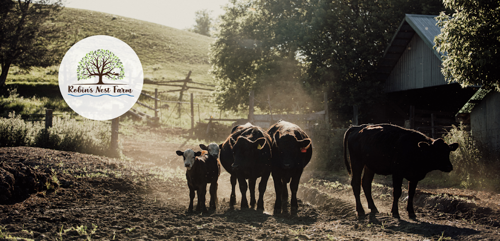 Robins Nest Farm | 32 Goacher Rd, Campbellford, ON K0L 1L0, Canada | Phone: (705) 632-9304