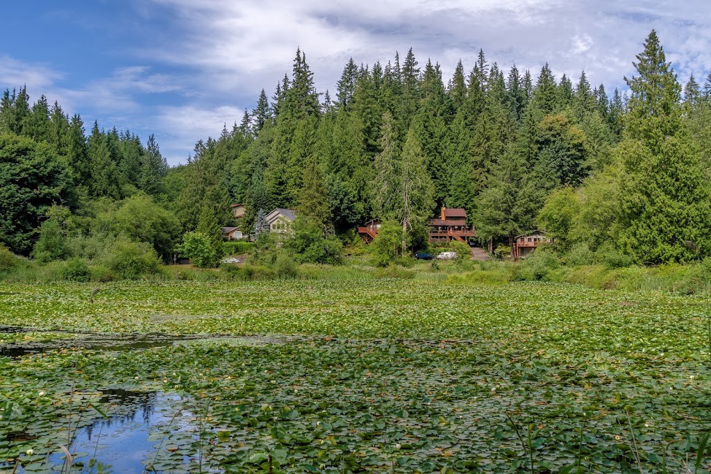 Lake Louise Bird Sanctuary | 9 Lake Louise Cir E, Bellingham, WA 98229, USA