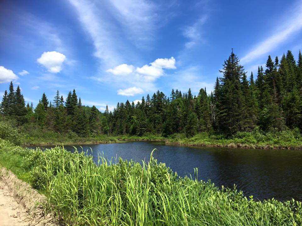 Saint-Maurice Wildlife Reserve | 3774 QC-155, Rivière-Matawin, QC G0X 2C0, Canada | Phone: (819) 646-5687