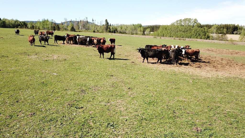 Groupe Claessens | 131a Rang Charlotte, Saint-Liboire, QC J0H 1R0, Canada | Phone: (450) 793-2806