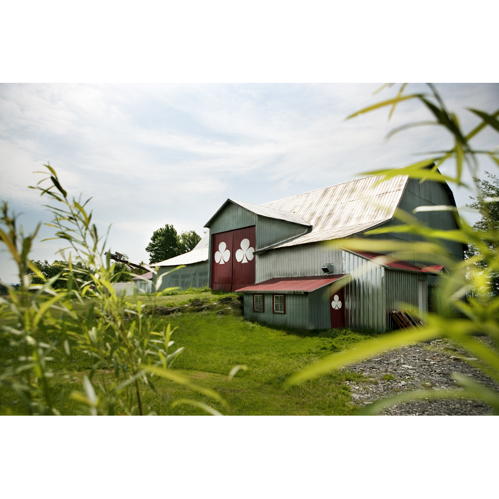 Ferme D.Campagna | 345 Chem. de Fitch Bay, Magog, QC J1X 0Z5, Canada | Phone: (819) 588-1341
