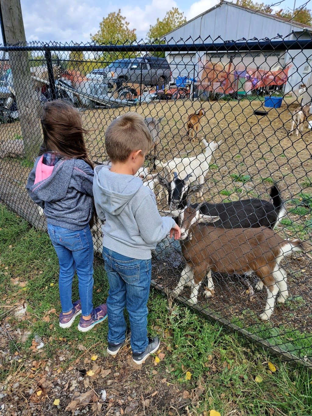 Clover Hill Farm | 3470 Cemetery Rd, Binbrook, ON L0R 1C0, Canada | Phone: (905) 692-9184