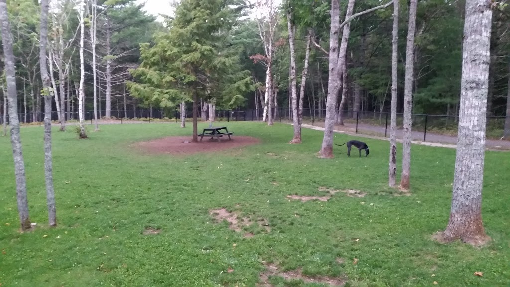 South Shore Vet Dog Park | 543 Glen Allan Dr, Bridgewater, NS B4V 0A8, Canada | Phone: (902) 543-4651