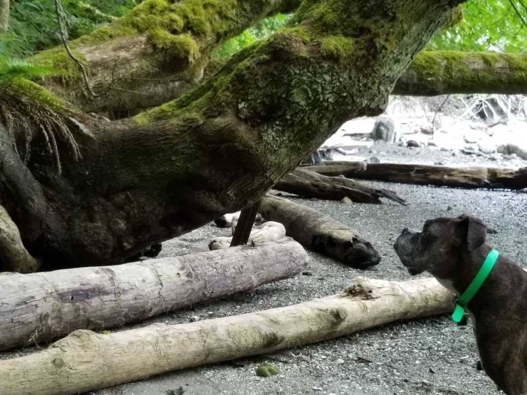 Judd Cove Preserve | Judd Cove Rd, Eastsound, WA 98245, USA