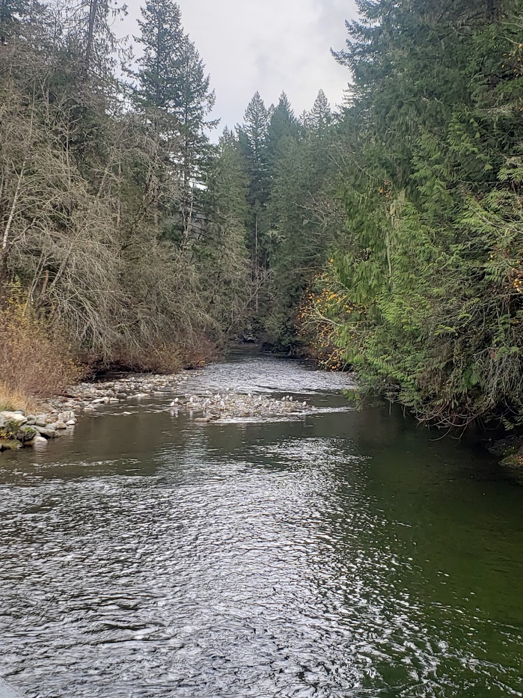Little Qualicum River Fish Hatchery | 1391 Claymore Rd W, Qualicum Beach, BC V9K 2T6, Canada | Phone: (250) 752-3231