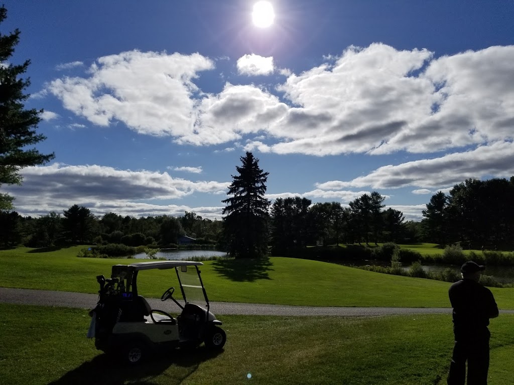 Carlisle Golf Club | 523 Carlisle Rd, Carlisle, ON L0R 1H0, Canada | Phone: (800) 661-4343