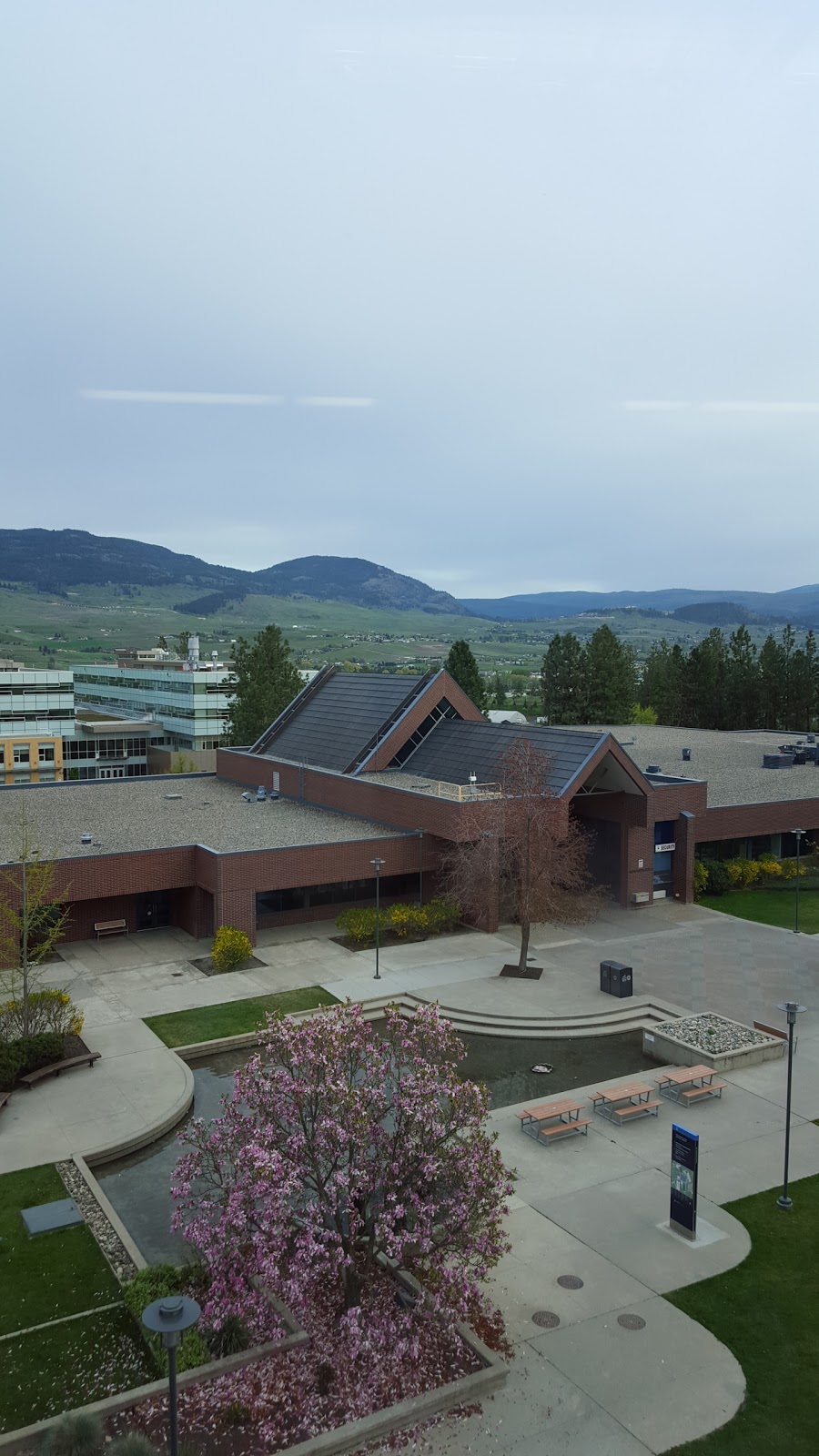 UBC Bookstore Okanagan | 1138 Alumni Ave, Kelowna, BC V1V 1V7, Canada | Phone: (250) 807-9246