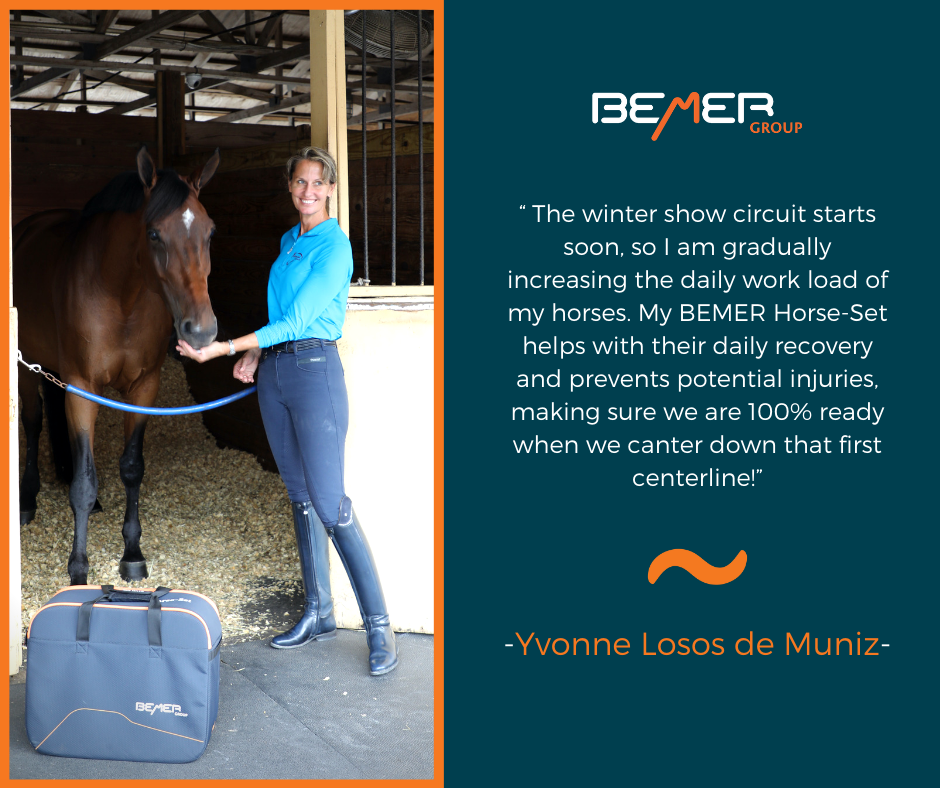 Cristina’s Equine Massage | 545 Cameron Harvey Dr, Ottawa, ON K2K 1X7, Canada | Phone: (613) 220-3239