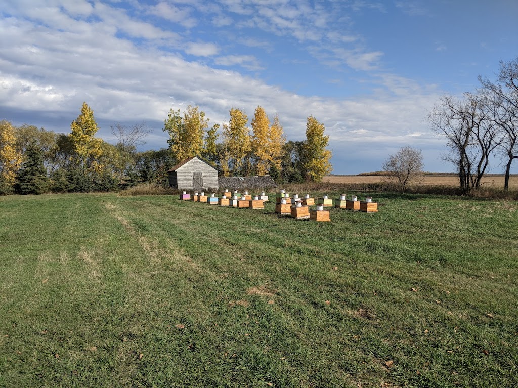 Lees Bees Honey | 52158 MUN 33 E, Rosewood, MB R5K 0H9, Canada | Phone: (204) 557-4177