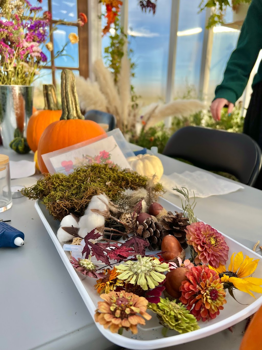 Wildflower Greenhouse Studio | 182042 Rge Rd, 182024 Range Rd 142 #142, Newell County No. 4, AB T1R 1C6, Canada | Phone: (403) 376-2085