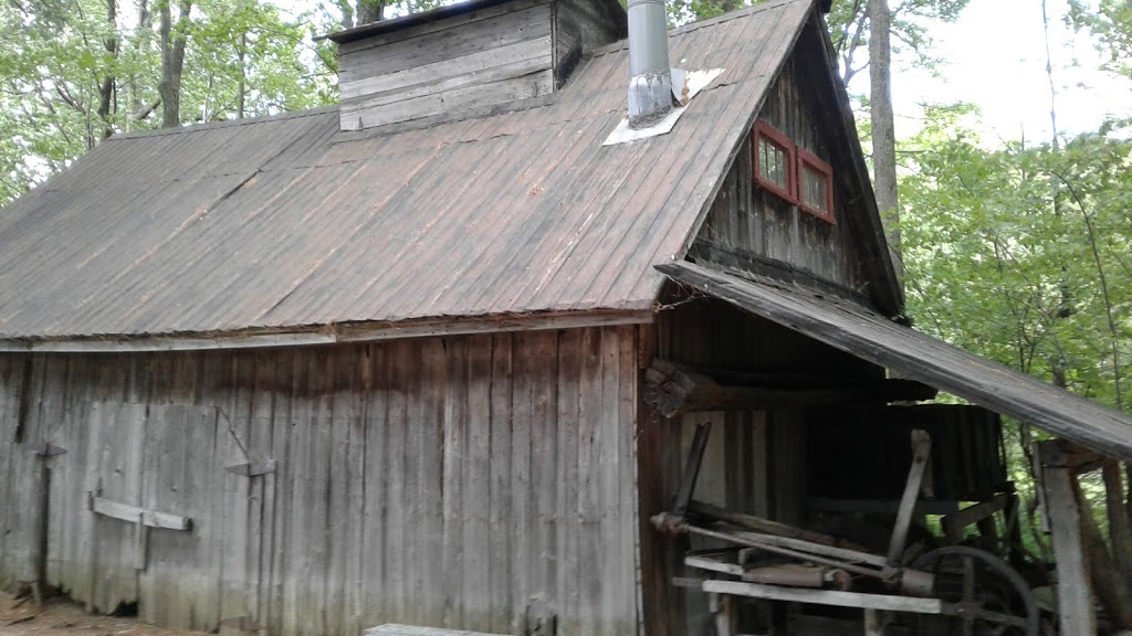 Camping des Voltigeurs | 575 Rue Montplaisir, Drummondville, QC J2B 6X1, Canada | Phone: (819) 477-1360