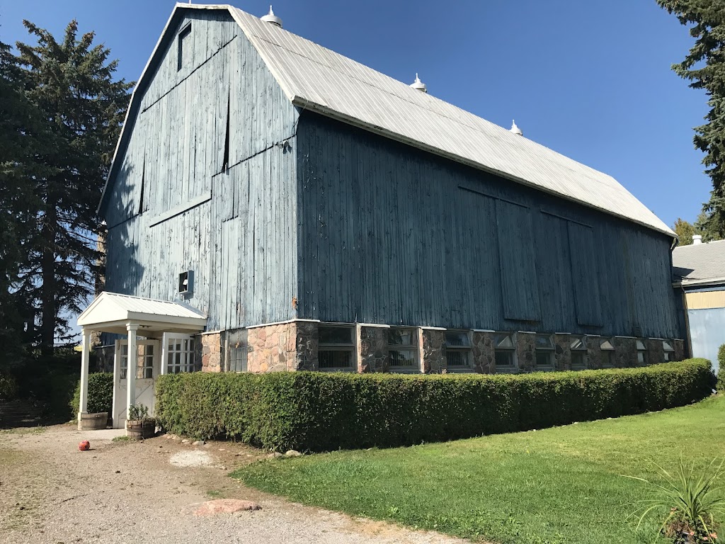 QUASAR EQUESTRIAN LTD. | 890 Davis Dr W, Newmarket, ON L3Y 4V9, Canada | Phone: (905) 252-6177